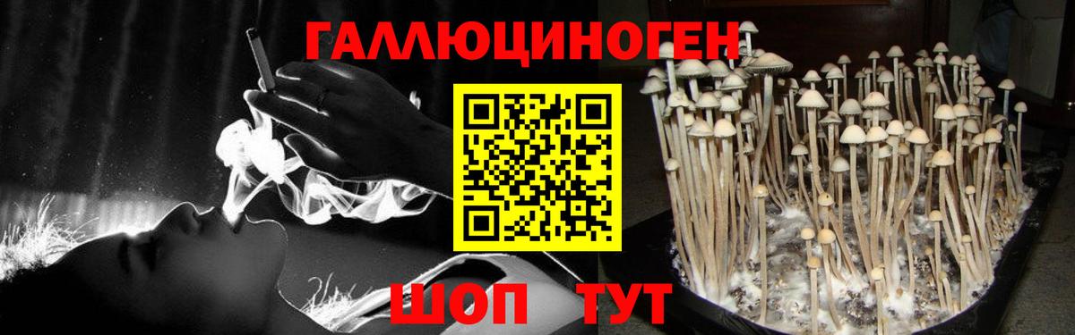 Павловский Посад  Псилоцибиновые грибы мицелий  Вход с VPN 